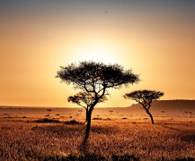 Kenya - naplemente