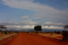 Kenya - szavannák