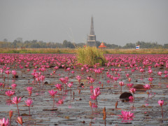 Thaiföld - Red Lotus Lake