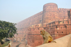 India - Agra, Vörös Erőd
