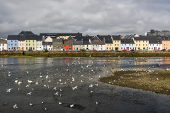 Írország - Galway