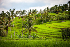 Jáva-Bali