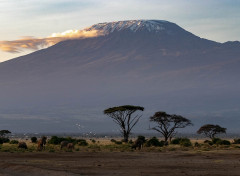 Kenya, Amboseli Nemzeti Park