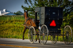 Amish lovaskocsi